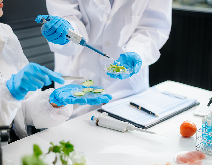 Teste alimentare și de mediu