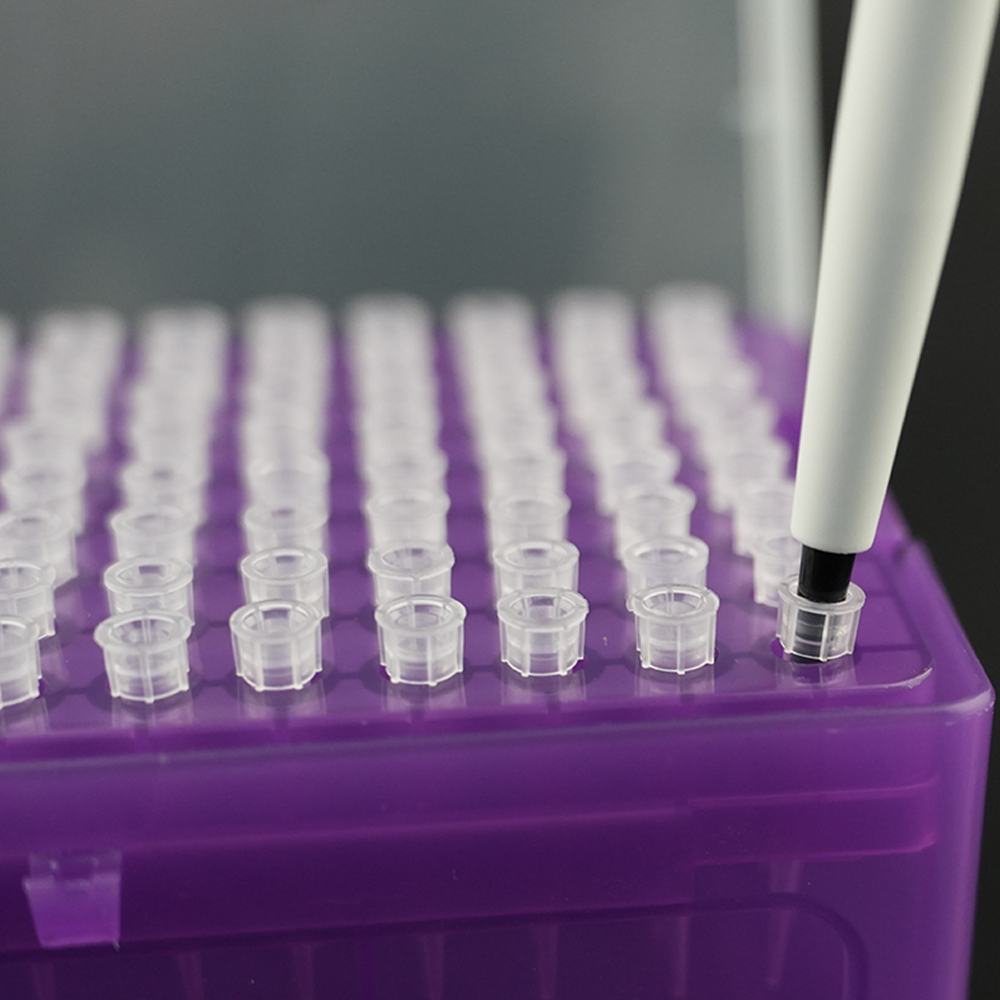 Qiujing Fără sursă de căldură în ambalaj Racked Clear Sfaturi pentru pipete de laborator cu închiriere scăzută Qiujing Fără sursă de căldură în ambalaj Racked Clear Sfaturi pentru pipete de laborator cu închiriere scăzută